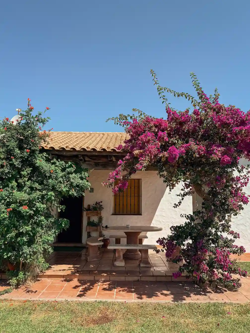 Vista de la parte frontal de la casa, con un porche con zona de descanso y rodeado de árboles y flores.